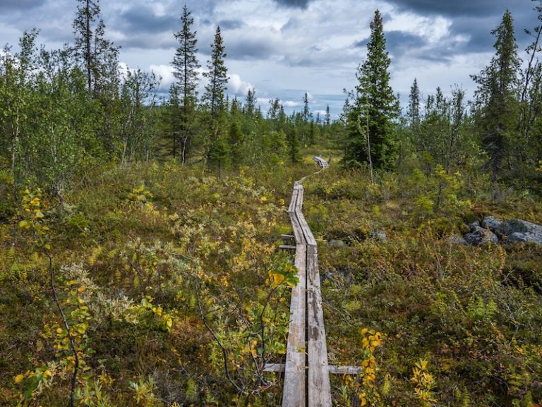 Hiking the King's Trail in Sweden - Wired For Adventure