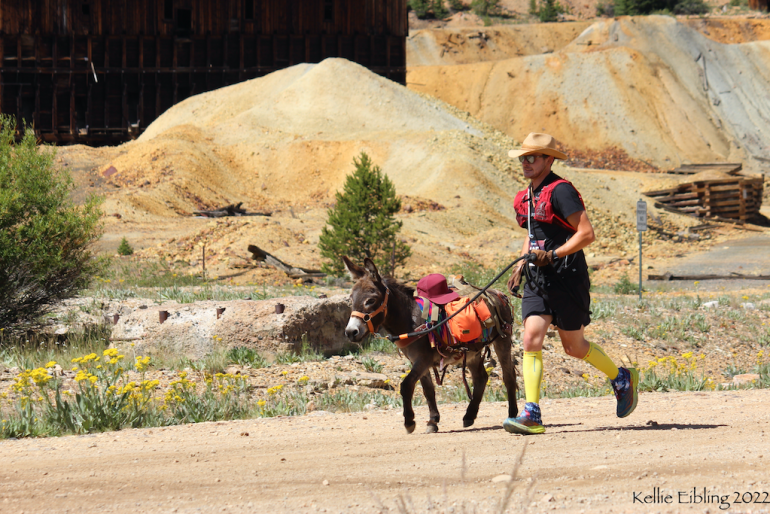 Burro Racing in the Colorado Rockies Wired For Adventure